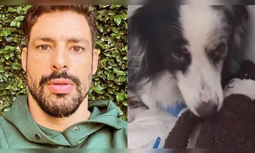 Cauã Reymond mostra situação de sua cachorra após envenenamento