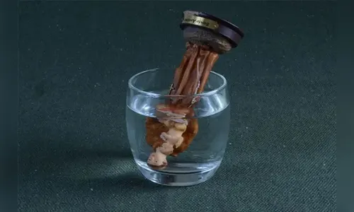 Dia de Santo Antônio: saiba como pedir a ajuda do santo casamenteiro