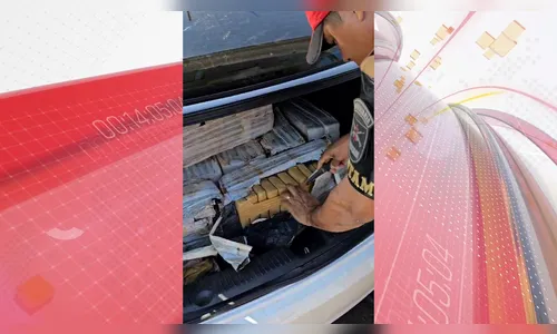 PRE flagra casal transportando quase 300 kg de maconha na PR-986