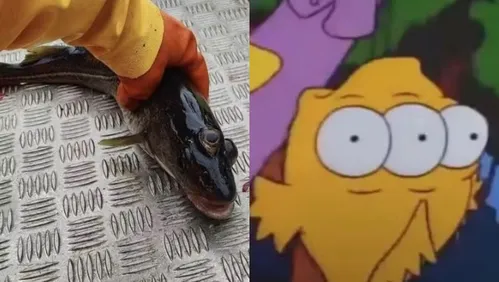 Um peixe de três olhos aparece no episódio chamado "Dois Carros em Cada Garagem e Três Olhos em Cada Peixe"