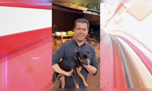 Veterinário examina cachorro que foi agredido em bar de Ivaiporã; veja