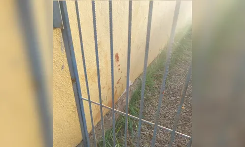 Pitbull é morto após atacar idoso e deixá-lo em estado grave