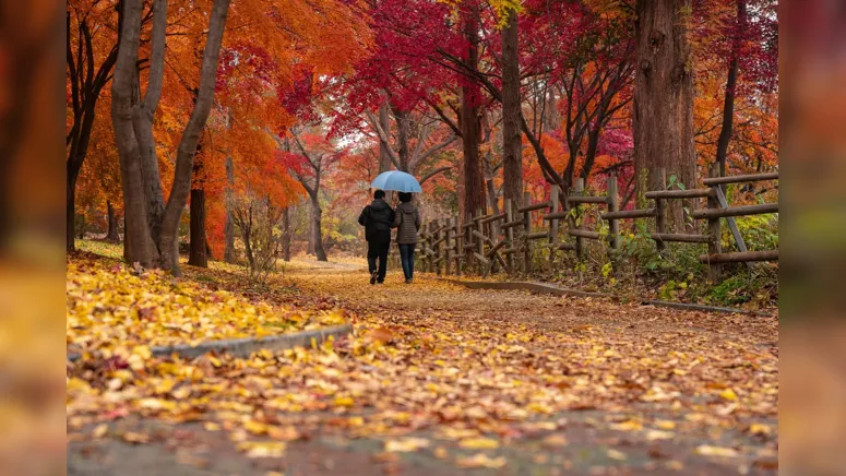 Imagem ilustrativa da notícia União estável ou namoro? O contrato de namoro como solução