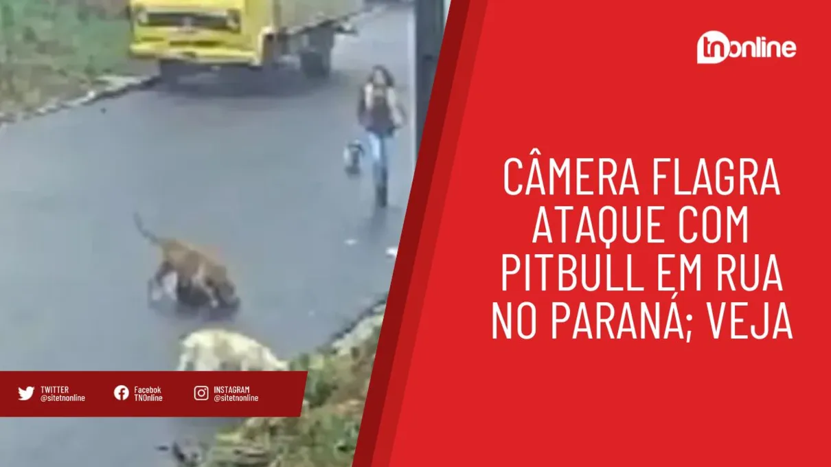 Câmera flagra ataque com pitbull em rua no Paraná