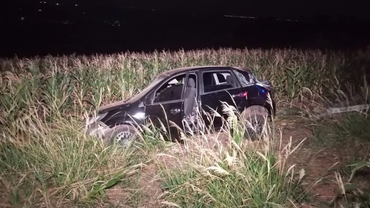 Carro parou em uma área de vegetação