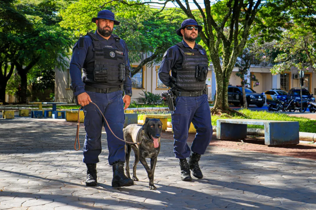 Desde 2017, Arapongas conta com o Plano Municipal de Segurança Pública, ação conjunta que une ações estratégicas das Forças de Segurança
