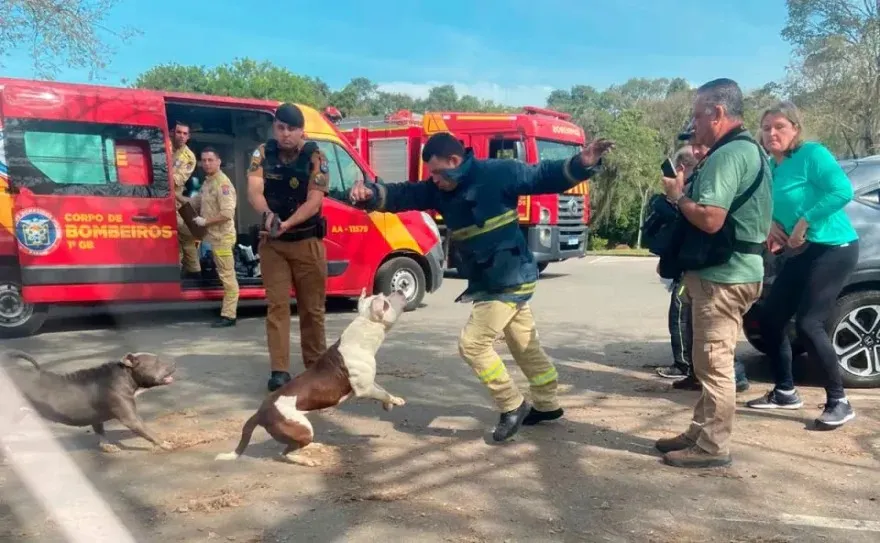 Equipes do Corpo de Bombeiros e da Polícia Militar atenderam a ocorrência