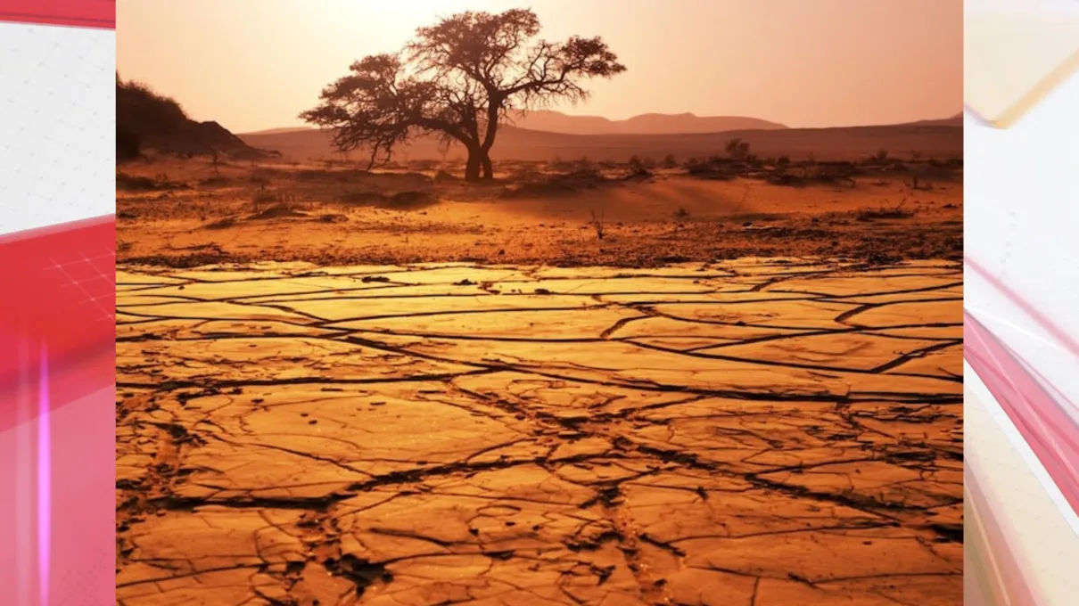 Essa alteração traz impactos especialmente nas áreas de florestas