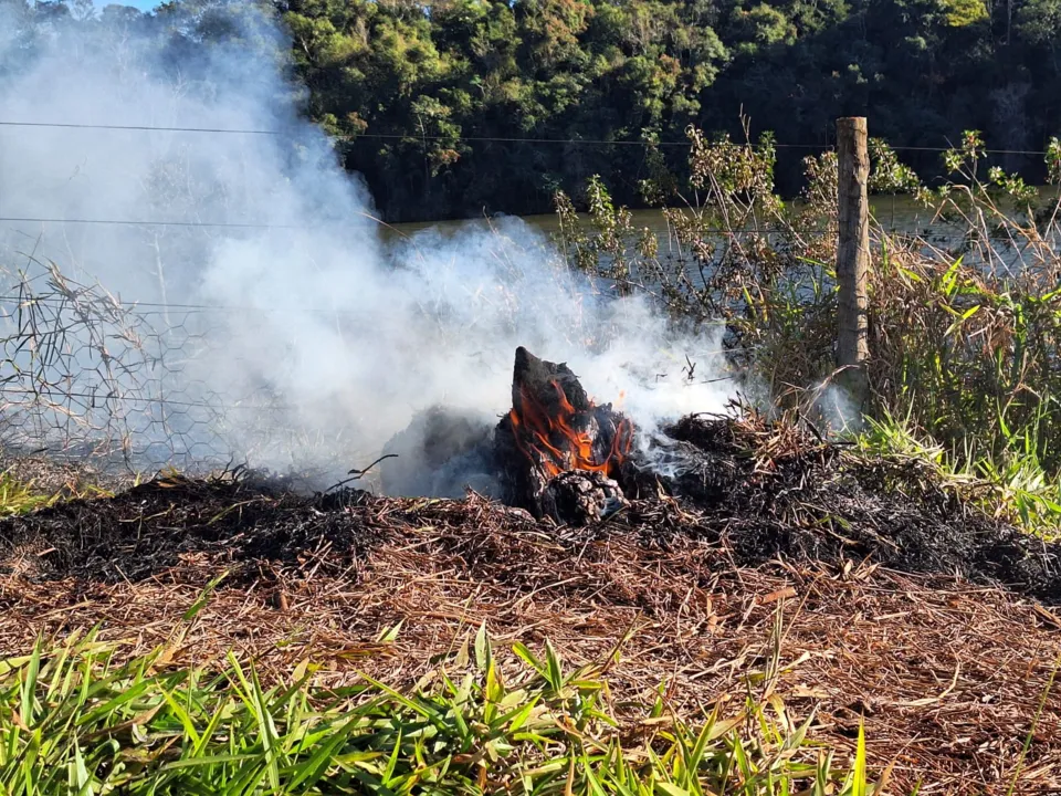 Fogo consome vegetação no Parque da Raposa e fumaça gera transtornos