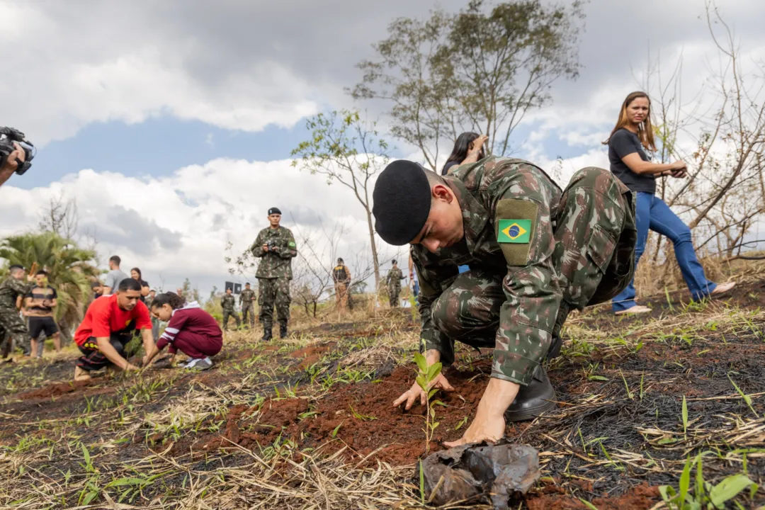 Militares do Exército, Corpo de Bombeiros e Polícia Militar plantaram as mudas