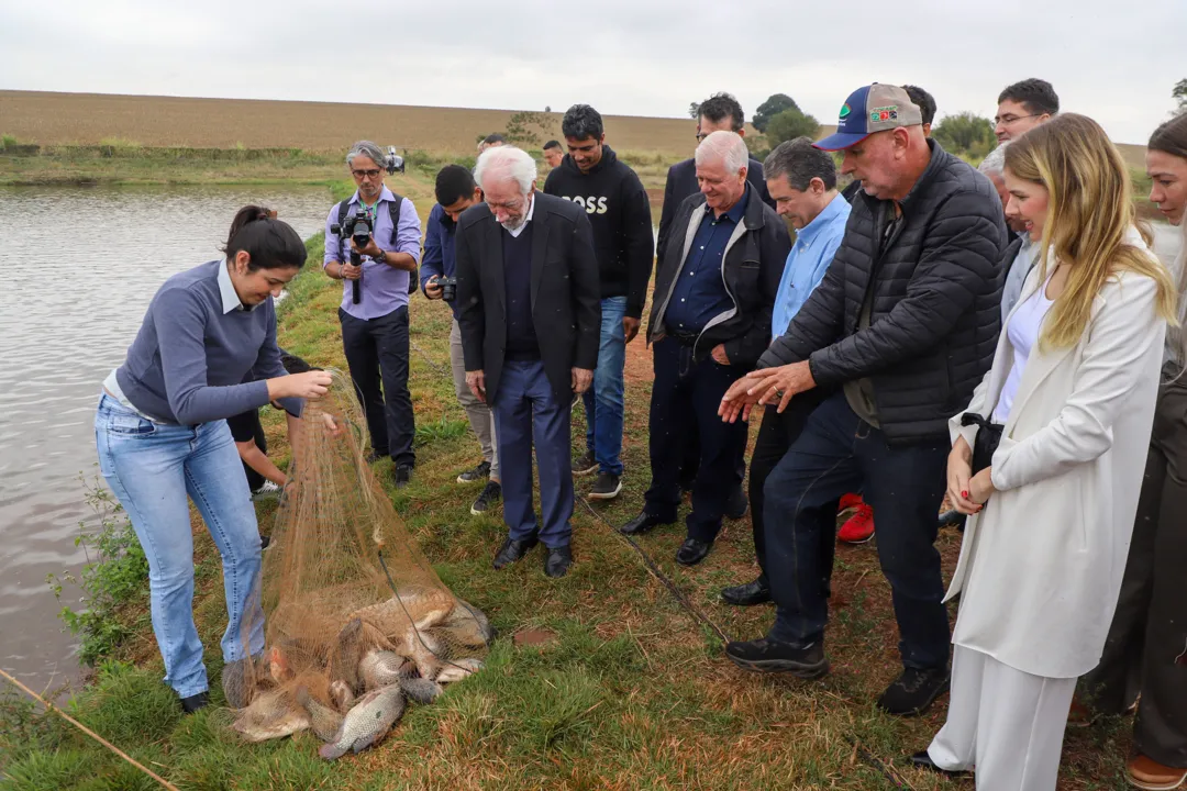 Piana apresenta produtores locais de tilápia ao ministro da Pesca