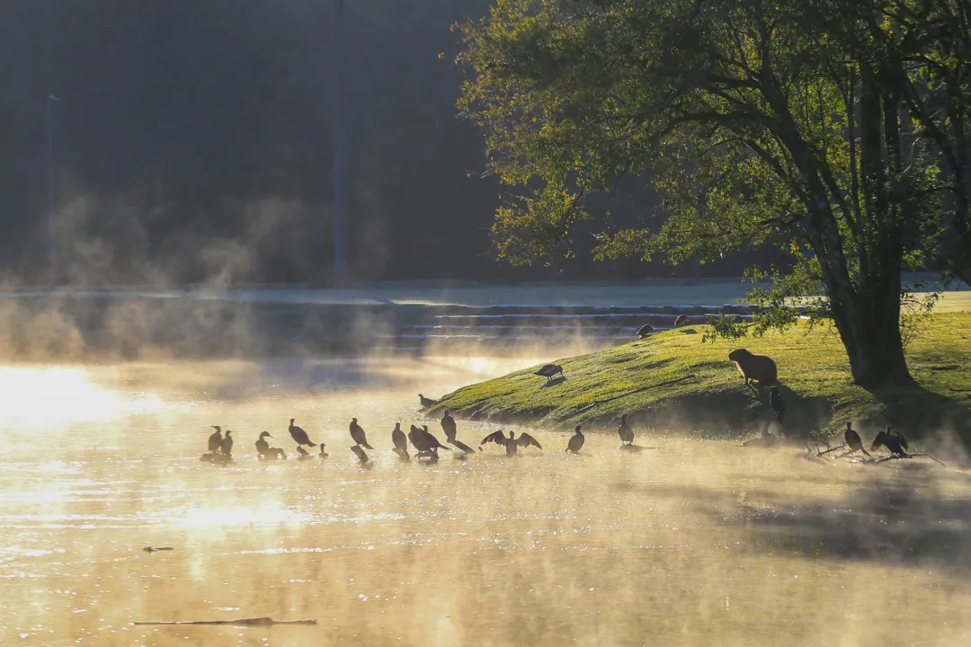 Previsão indica -2°C em cidades do sul gaúcho