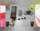 Jovem é preso com maconha e pé da planta em Ariranha do Ivaí