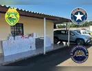 Homem é preso com mais de mil pacotes de cigarros em São João do Ivaí