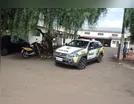 Cachorro foge do quintal e gera conflito entre vizinhos em Ivaiporã