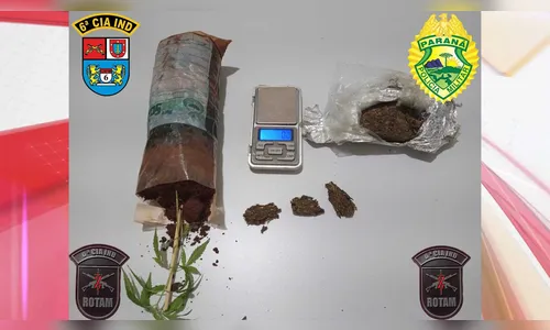 Jovem é preso com maconha e pé da planta em Ariranha do Ivaí