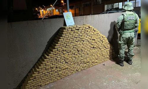Polícia Militar do Paraná apreende mais de meia tonelada de maconha