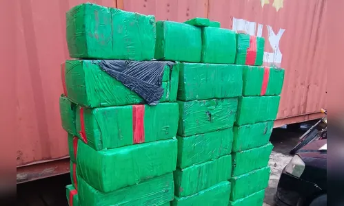 PCPR apreende 859 quilos de maconha escondida em um veículo