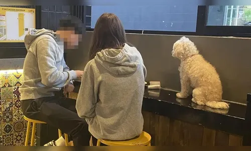 Casal coloca cão em balcão de restaurante e é criticado: 
