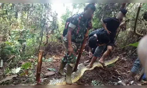 Mulher é encontrada em estômago de serpente na Indonésia