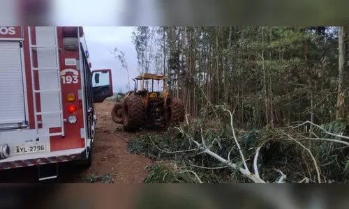 Trabalhador morre após ser atingido por tronco durante corte de árvore