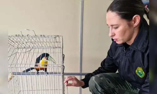Polícia Ambiental orienta entrega voluntária de animais silvestres
