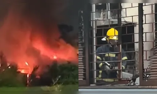 Cachorro de estimação morre em incêndio após casa pegar fogo no PR