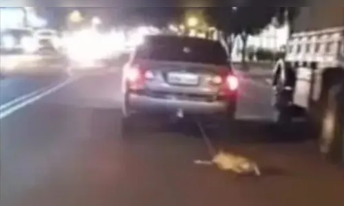Cachorro é amarrado e puxado por carro no meio da rua