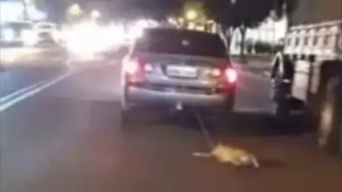 Cachorro é amarrado e puxado por carro no meio da rua