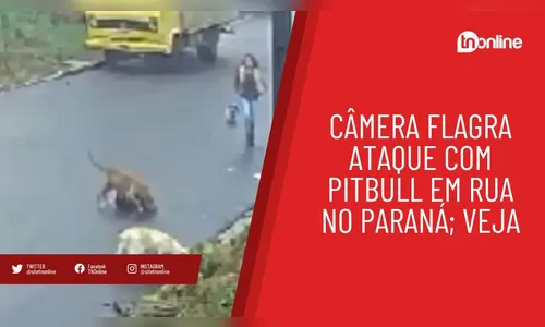 Câmera flagra ataque com pitbull em rua no Paraná