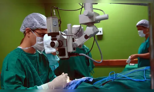 Câncer de bexiga já soma mais de 19 mil mortes em 4 anos