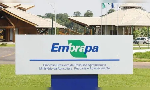 Concurso da Embrapa deve oferecer mais de mil vagas