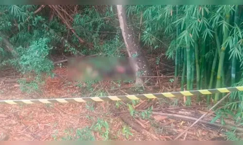 Vítima de latrocínio em cidade da região de Apucarana é identificada