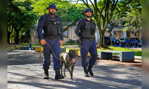 Arapongas tem menor índice de mortes violentas entre as cidades do PR