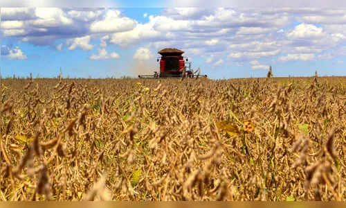 Sobram vagas: fazendeiros do MT não conseguem mão de obra