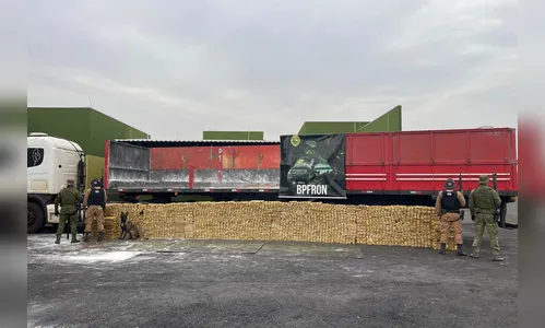 Polícia Militar apreende 4,1 toneladas de maconha no Paraná