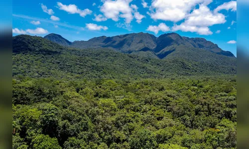 PR é o 1º governo subnacional a adotar créditos de biodiversidade