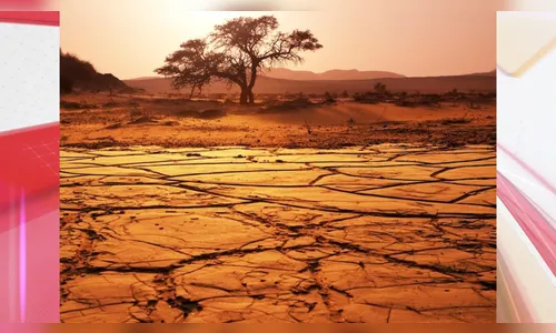 Mudanças climáticas já interferem em secas e cheias na Amazônia