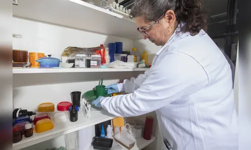 Embalagens de alimentos do Tecpar assegura a saúde do consumidor