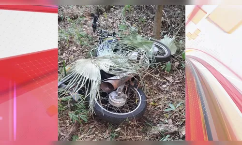 Funcionário da Copel encontra moto no 'meio do mato' em Apucarana