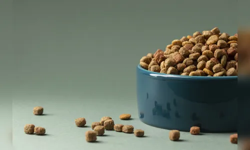 Homem dá veneno para pets e tutora aciona a PM em Apucarana