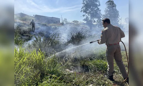 Queimar lixo é crime mesmo dentro do próprio terreno; entenda