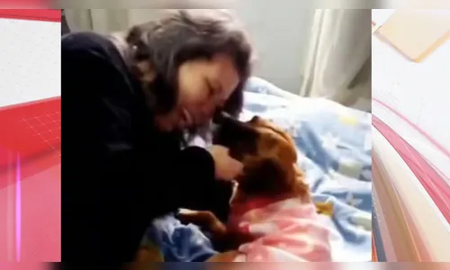 Cachorra aparece 7 meses após fugir de queima de fogos em Arapongas