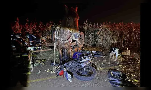 Motociclista de 26 anos morre em colisão com carroça no Vale do Ivaí