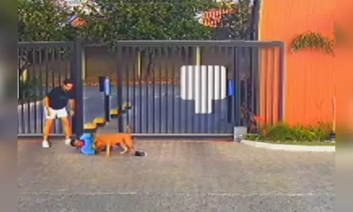 Pitbull escapa e fere cinco pessoas em festa infantil; veja ataques