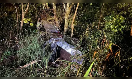 Jovem perde controle e caminhonete Hilux para no 'meio do mato' no PR
