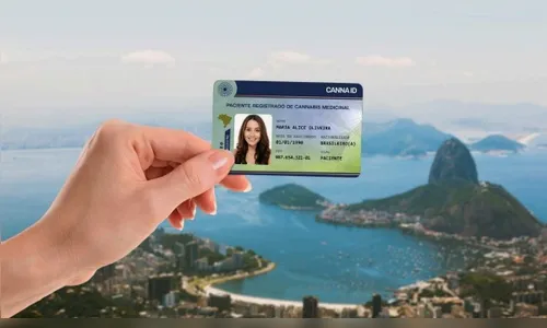 Saiba como ter acesso seguro e regulamentado à cannabis medicinal