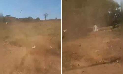 Homem filma redemoinho e é 'engolido' pelo fenômeno; veja vídeo