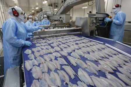 O Estado produziu 193,3 mil toneladas de peixe no ano passado