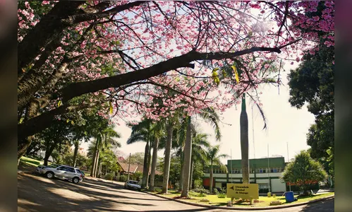 UEM ainda disponibiliza vagas para curso gratuito de empreendedorismo